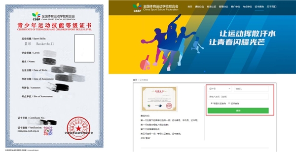 包含青少年篮球推广项目在偏远地区深耕细作的词条